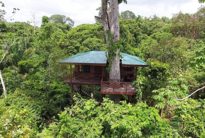 Tree House - Maquenque