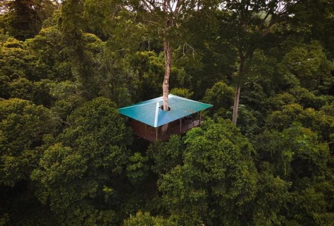 Tree House - Maquenque