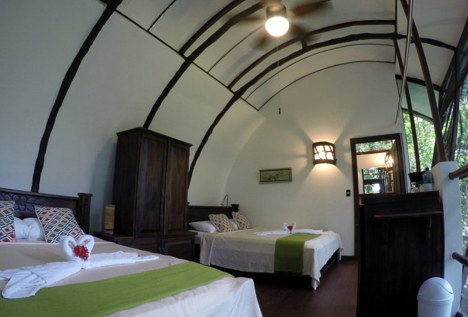 Interior view of the tree house