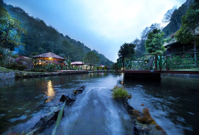 Trogon Lodge View