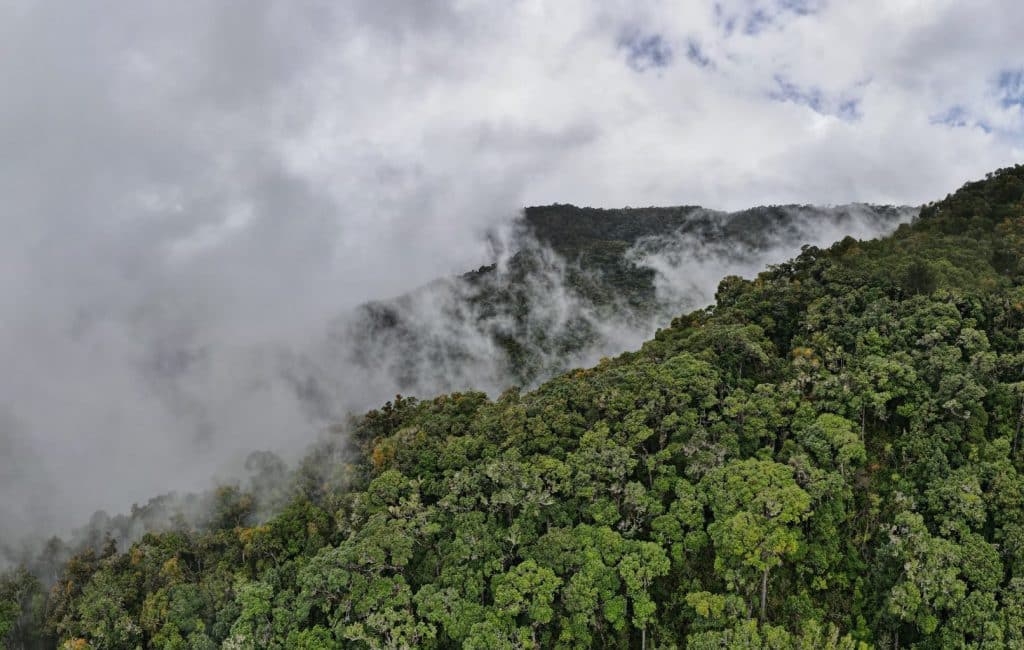 Cp costa rica