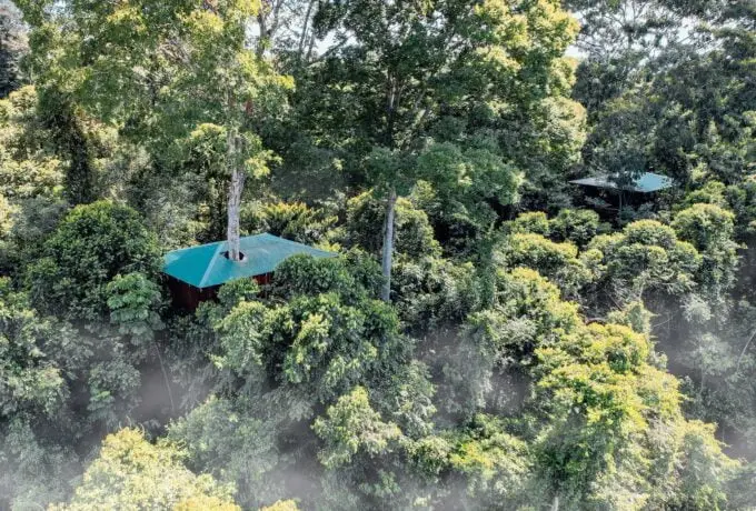 Maquenque Lodge Tree house