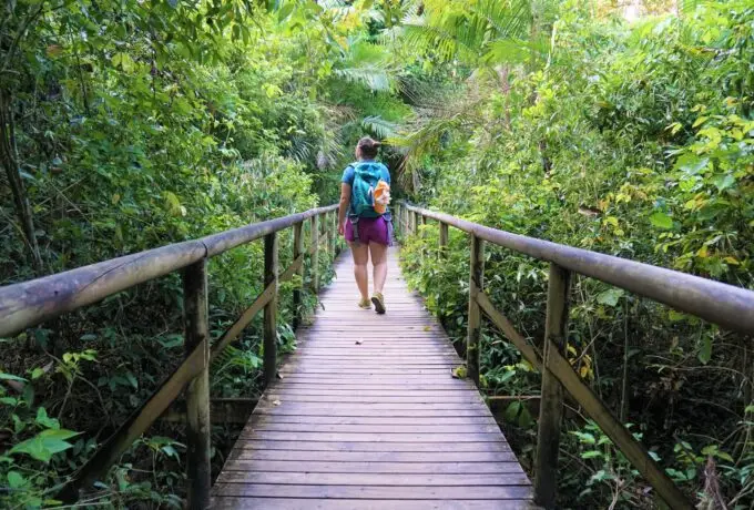 Manuel Antonio Hike - National park