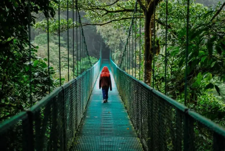 9-puentes-colgantes-selvatura-monteverde - min