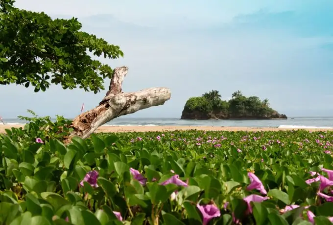 Cocles - Manzanillo - Cahuita
