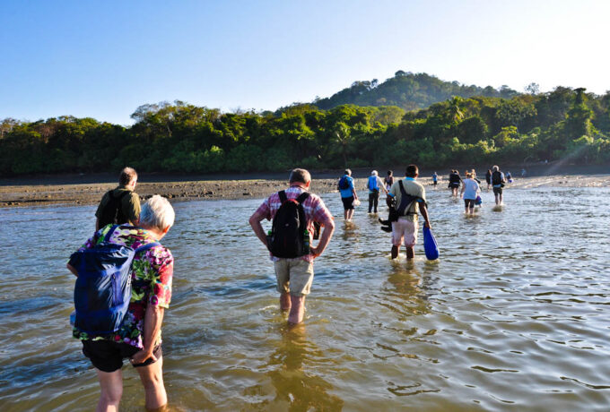 Group hiking in the Sirena Station - Corcovado National Park - Bella Aventura Costa Rica