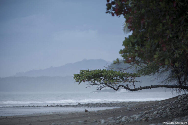 Marino Ballena Beach, Uvita Costa Rica.