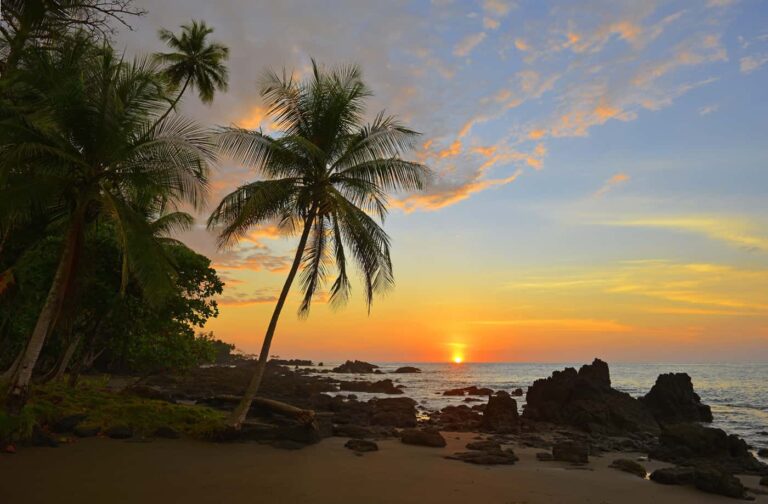 Sunshine in Corcovado National Park - Drake town. Bella Aventura Costa Rica.