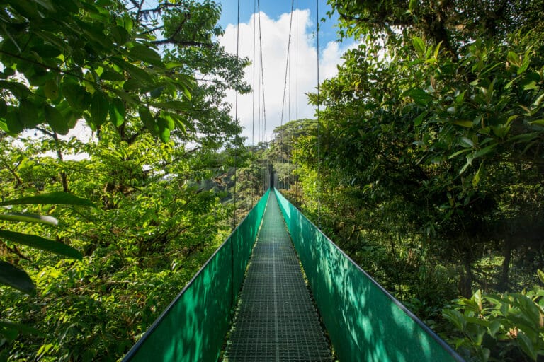 Von der Karibik zum Pazifik – unsere Reise durch Costa Rica