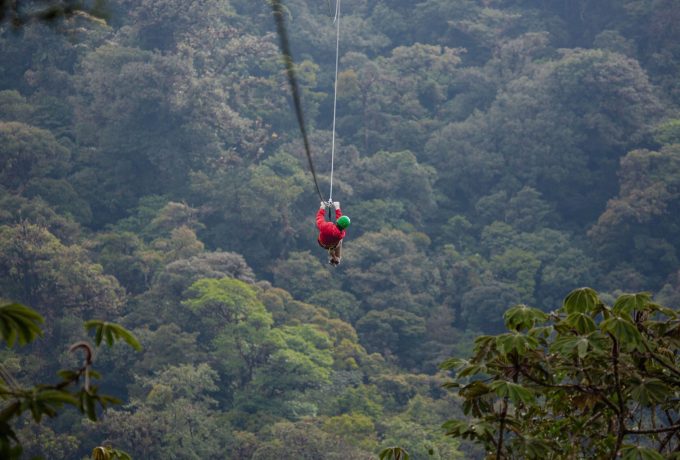 Nebelwald von Costa Rica: Monteverde