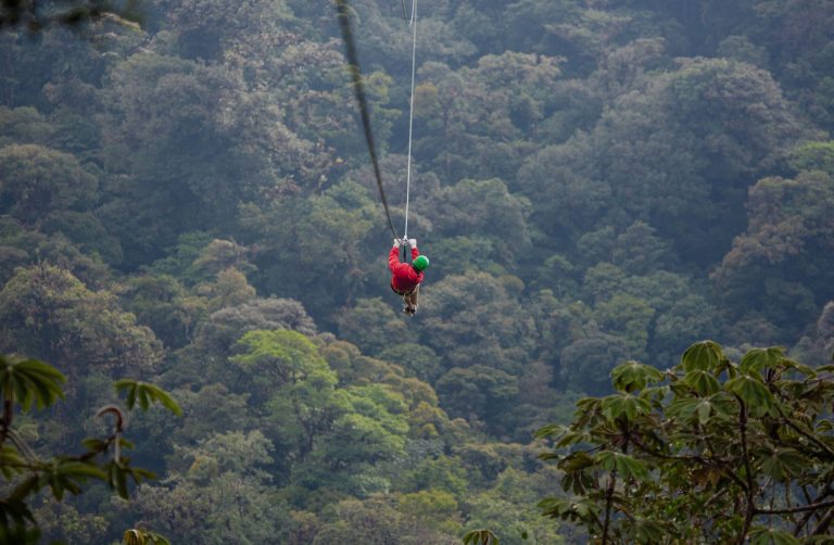 Nebelwald von Costa Rica: Monteverde