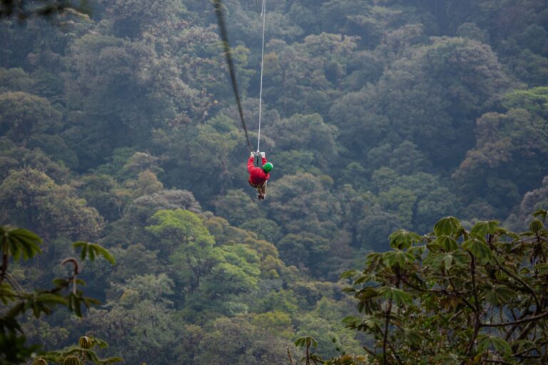 Von der Karibik zum Pazifik – unsere Reise durch Costa Rica