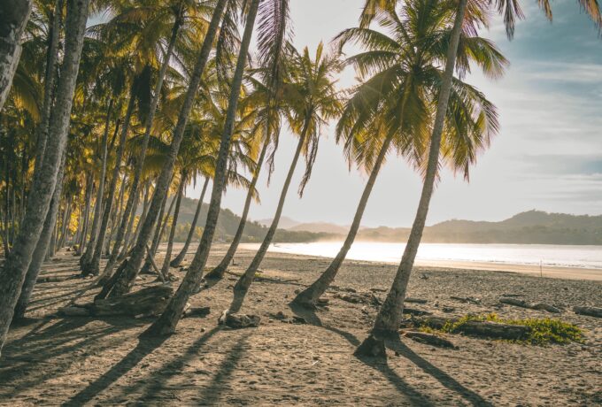 Von der Karibik zum Pazifik – unsere Reise durch Costa Rica