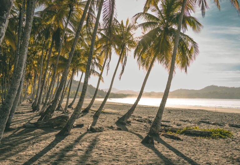 Von der Karibik zum Pazifik – unsere Reise durch Costa Rica