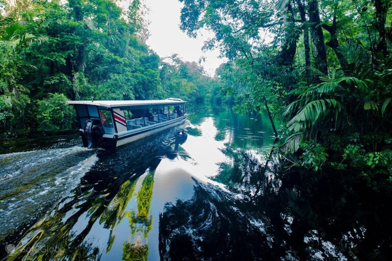 Tortuguero - Pura Vida- Rundreisen Costa Rica