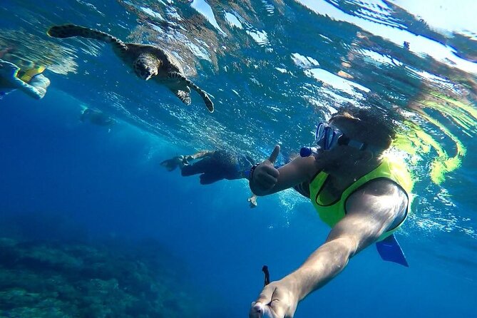 Snorkeling - Caño Island