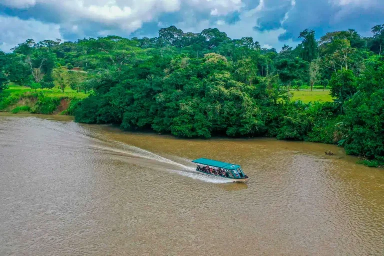 Boat Tour Maquenque Lodge