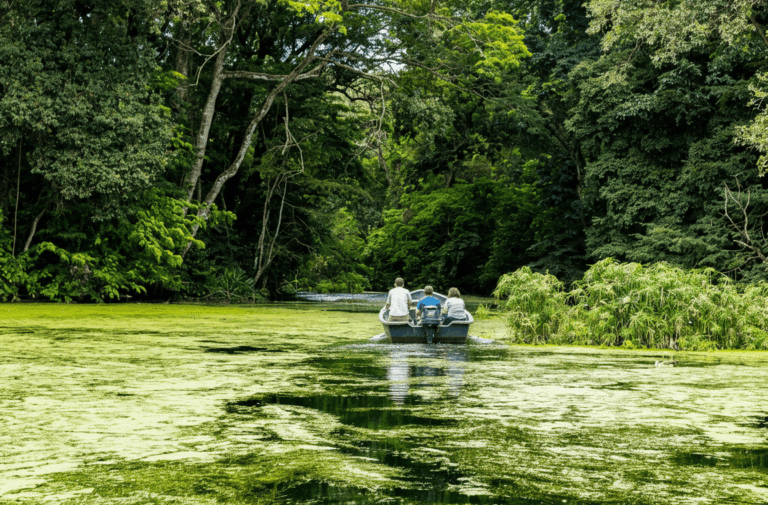 Tortuguero Canals Costa Rica - Highlights Costa Rica - eine unserer Rundreisen