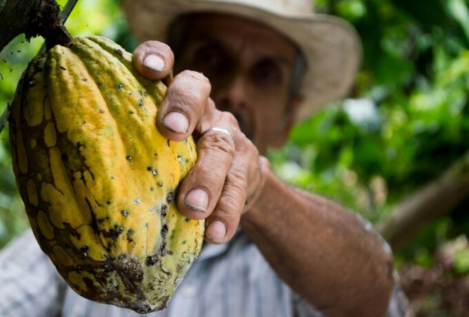 Cacao Tour - Begegnungsreise in handverlesenen Ecolodges