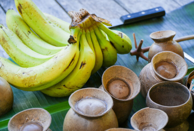 Bribri Tour - Costa Rica - Begegnungsreise in handverlesenen Ecolodges