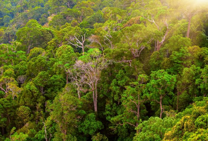 Costa Rica erleben: Regenzeit oder Trockenzeit?