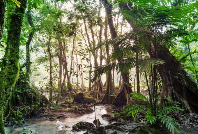 Costa Rica erleben: Regenzeit oder Trockenzeit?
