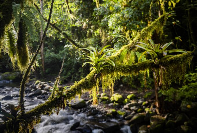 Costa Rica erleben: Regenzeit oder Trockenzeit?