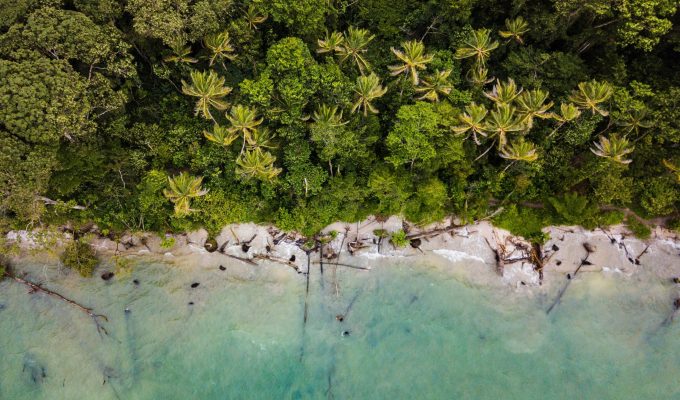 Drone view of the Landscape Cahuita National Park - Costa Rica