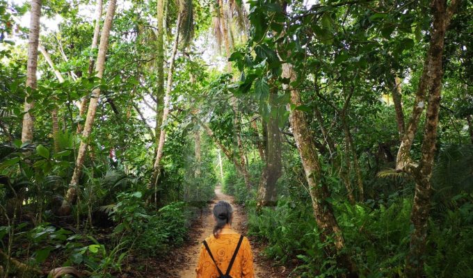 Hike in Cahuita NP