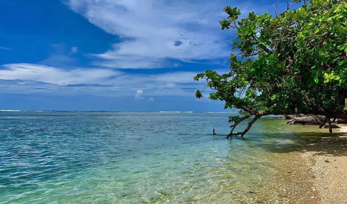 Cahuita National Park - view beach - Bella Aventura Costa Rica.