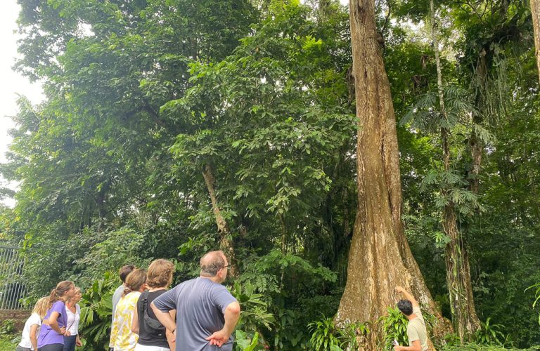Local Experience Finca Sura - Sustainable - Bella Aventura Costa Rica