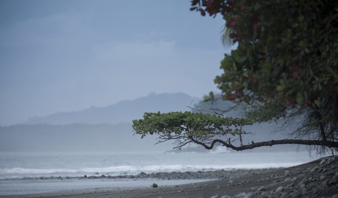 Marino Ballena Beach, Uvita Costa Rica.