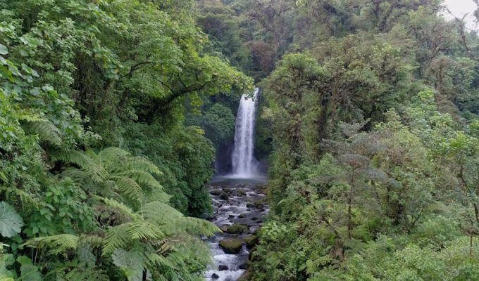 La Paz Waterfalls Gardens - Costa Rica